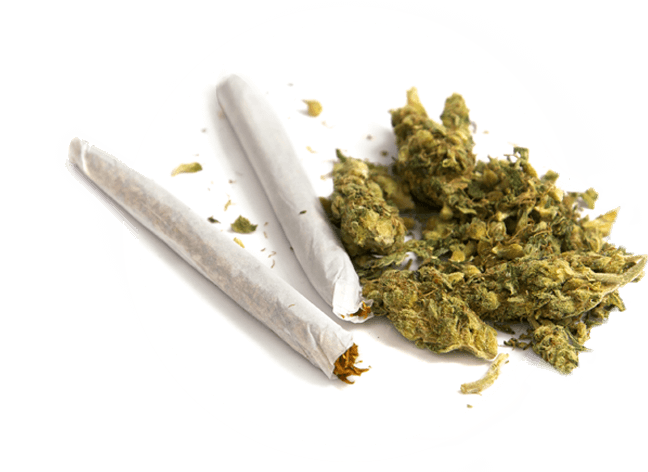 GoTreez - Sacramento Cannabis Weed Delivery